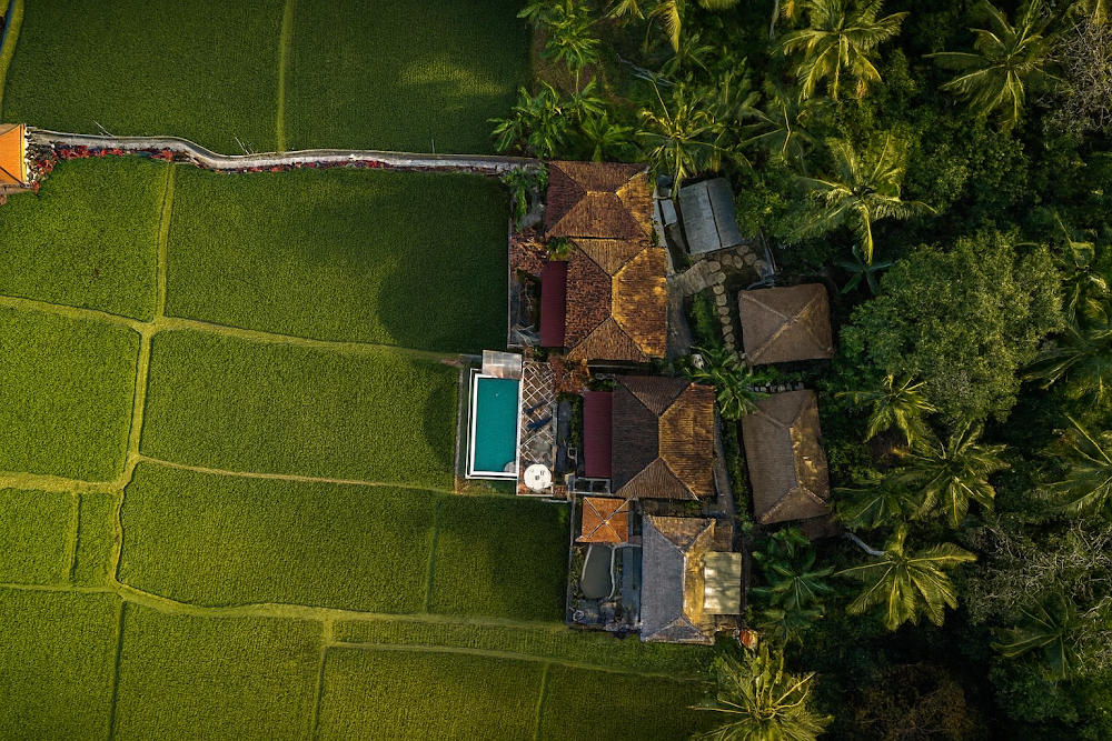 Firefly Retreat Bali