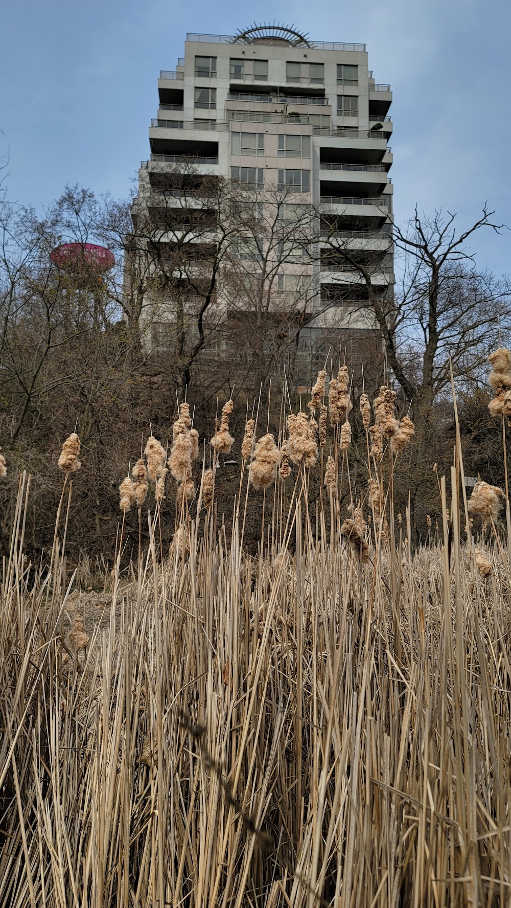 The Old Mill