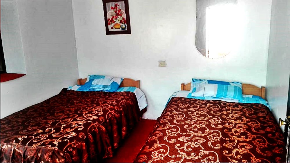 Don Gato Hostel