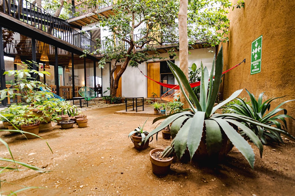 Hotel con Corazón Oaxaca