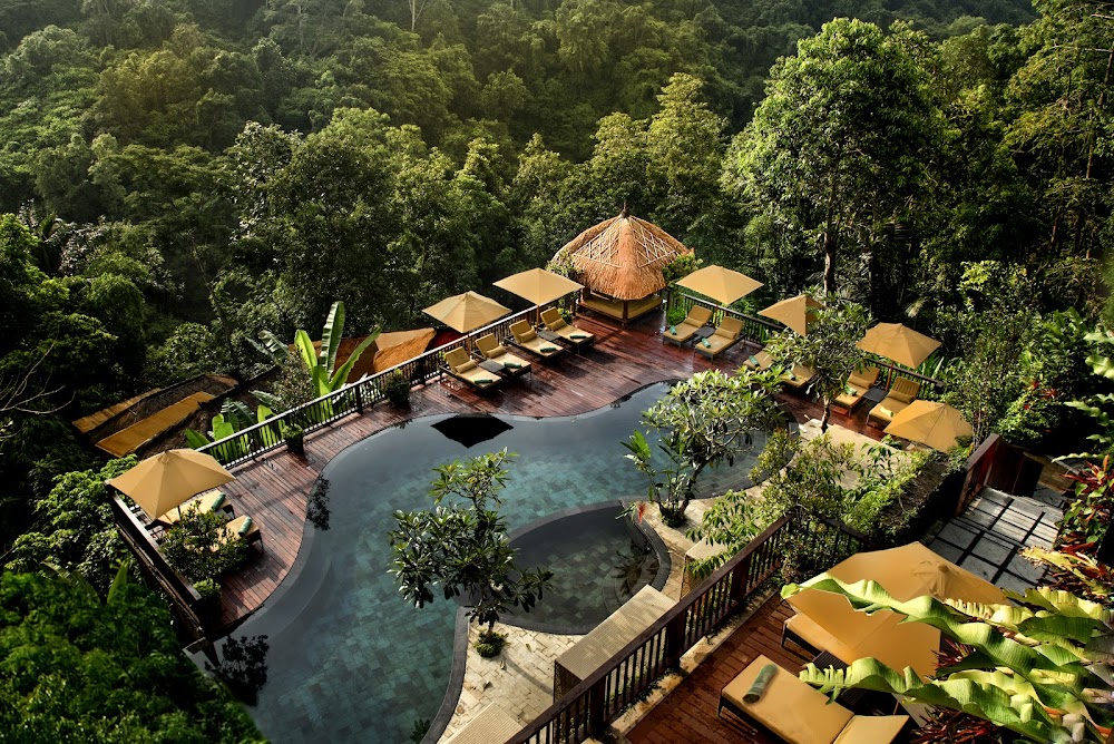 Nandini Jungle Resort and Spa